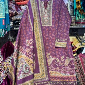 Pashmina Ready to wear Suit